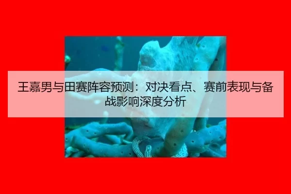wang-jia-nan-yu-tian-sai-zhen-rong-yu-ce-dui-jue-kan-dian-sai-qian-biao-xian-yu-bei-zhan-ying-xiang-shen-du-fen-xi-2-122.jpg